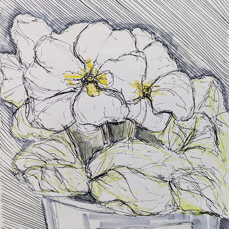 Renate Bosetti
